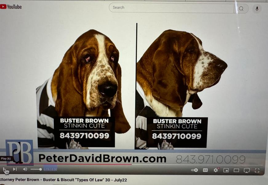 Buster and Biscuit
